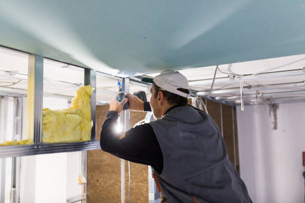 Best DIY Insulation Kits and Guidance in Robertsville, NJ